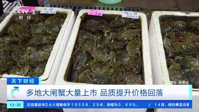 上海螃蟹价格行情最新解析