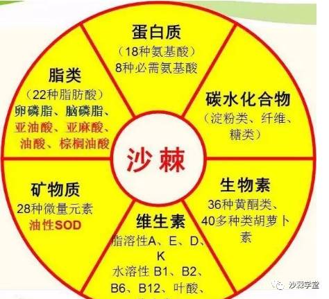 2024年正版免费天天开彩,完善的执行机制解析_Essential88.186