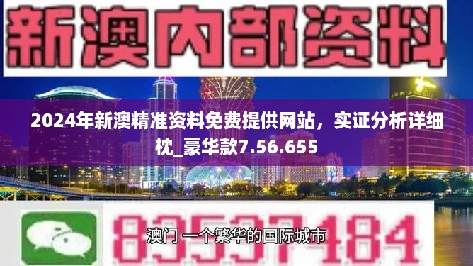 2024新奥正版资料最精准免费大全,最佳精选解析说明_理财版46.125